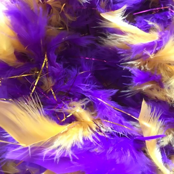 Feather Boa~Purple and Gold Boa with Matching Tinsel~LSU Boa~Tigers Boa - Picture 2 of 2